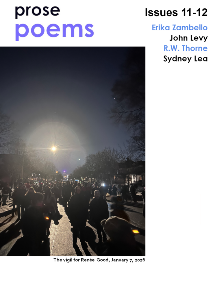 Prose Poems issue 11-12, featuring Erika Zambello, John Levy, R.W. Thorne, Sydney Lea, and with a guest poem by Brett Ortler